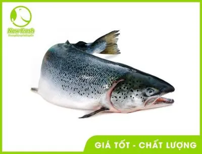 Sản phẩm thumb_16758289722069_ca hoi nauy tuoi nguyen con lam mon gi ngon — Thực Phẩm Nhập Khẩu New Fresh Foods - Công Ty TNHH New Fresh Foods — MST 0314604676