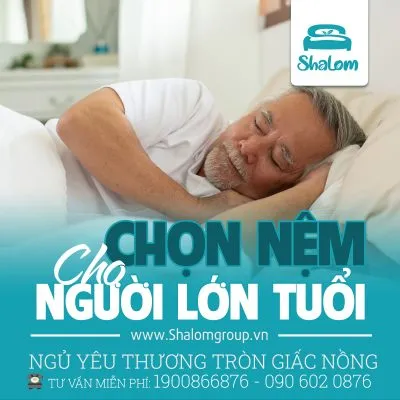 Sản phẩm Shalom10_003_face 400x400 — Nệm Đệm Bích Huệ - Công Ty TNHH Sản Xuất Thương Mại Bông Bích Huệ — MST 0314617234