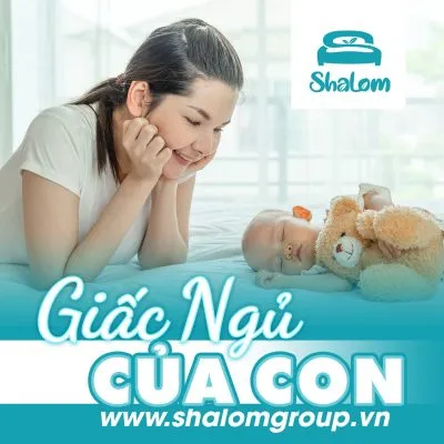Sản phẩm Shalom10_011_face 400x400 — Nệm Đệm Bích Huệ - Công Ty TNHH Sản Xuất Thương Mại Bông Bích Huệ — MST 0314617234