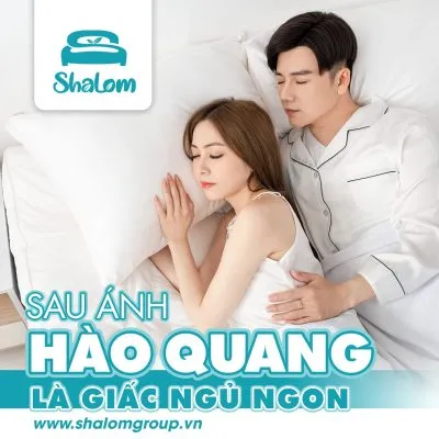 Sản phẩm Shalom10_012_face 400x400 — Nệm Đệm Bích Huệ - Công Ty TNHH Sản Xuất Thương Mại Bông Bích Huệ — MST 0314617234