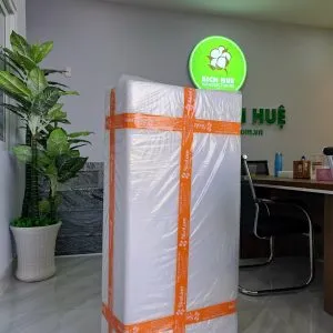 Sản phẩm z4221295524919_57f703fa509e6356773d01ce3ad23365 300x300 — Nệm Đệm Bích Huệ - Công Ty TNHH Sản Xuất Thương Mại Bông Bích Huệ — MST 0314617234