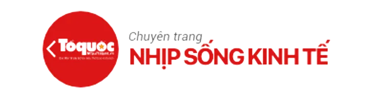 Sản phẩm 6 — Công Ty Cổ Phần Công Nghệ Dịch Vụ Và Thương Mại Heramo — MST 0314624471