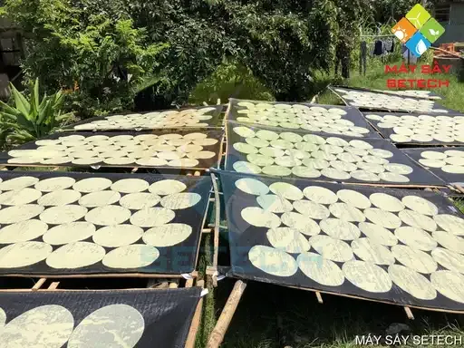 Sản phẩm phuong phap say banh phong mi hien nay — Công Ty Cổ Phần Công Nghệ Năng Lượng Bền Vững Việt Nam — MST 0314626895