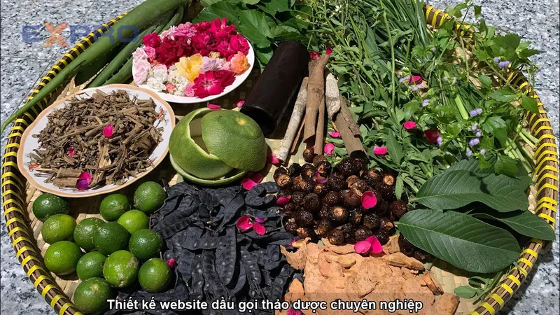 Sản phẩm post_1716168326_thiet ke website dau goi thao duoc chuyen nghiep — Công Ty TNHH Giải Pháp Số Expro Việt Nam — MST 0314650129