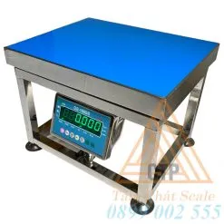Sản phẩm ds 166 ss 247x247 — Cân Điện Tử Tâm Phát - Công Ty TNHH SX TM DV Cân Điện Tử Tâm Phát — MST 0314663569