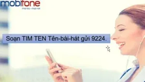 Sản phẩm cach tai nhac cho mobifone 9224 65a9a2 300x169 — Công Ty Cổ Phần Thương Mại Và Dịch Vụ Công Nghệ Việt Mỹ — MST 0314677025