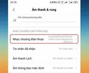 Sản phẩm cach tai nhac chuong cho xiaomi 808cbb 300x245 — Công Ty Cổ Phần Thương Mại Và Dịch Vụ Công Nghệ Việt Mỹ — MST 0314677025