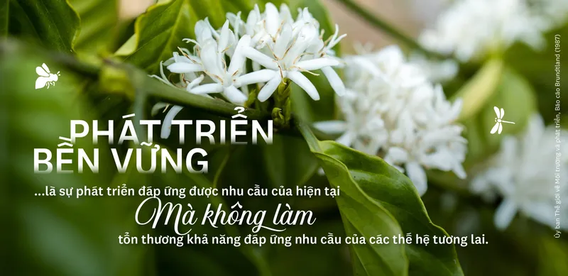 Sản phẩm 7 QUOTE scaled — Công Ty CP Cà Phê Golden Beans - SHIN cafe — MST 0314681060