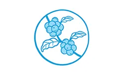 Sản phẩm 6.2 QT THU HAI — Công Ty CP Cà Phê Golden Beans - SHIN cafe — MST 0314681060