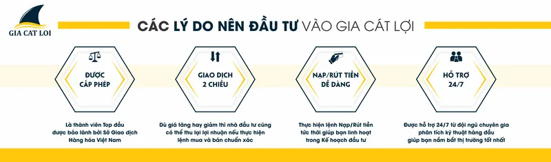 Sản phẩm 6 — Công Ty Cổ Phần Giao Dịch Hàng Hóa Gia Cát Lợi — MST 0314686238