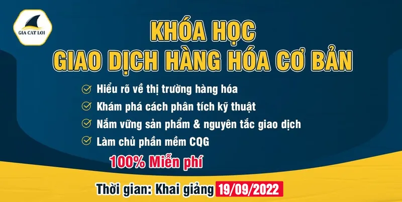 Sản phẩm khoa hoc phan tich ky thuat khoa 41 — Công Ty Cổ Phần Giao Dịch Hàng Hóa Gia Cát Lợi — MST 0314686238
