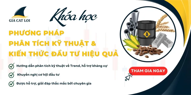 Sản phẩm khoa hoc phuong phap ky thua va phuong phap dau tu hieu qua — Công Ty Cổ Phần Giao Dịch Hàng Hóa Gia Cát Lợi — MST 0314686238