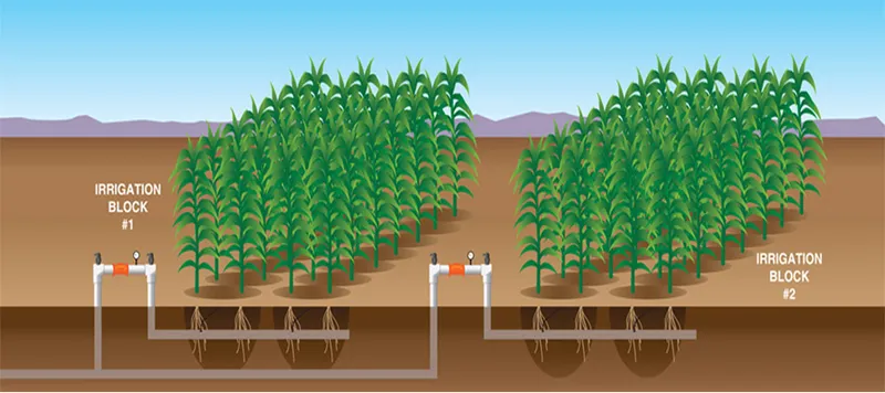 Sản phẩm Bec tuoi tu dong slide 02 — Công Ty TNHH Sản Xuất Thương Mại Nông Nghiệp Toàn Phát — MST 0314690611