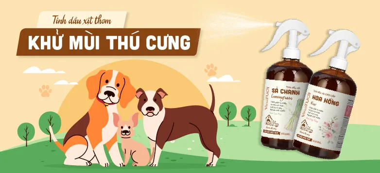 Sản phẩm tinh dau xith thom khu mui thuy cung — Công Ty TNHH Vina Tươi — MST 0314690724