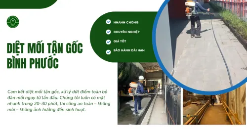 Sản phẩm diet moi chuyen nghiep tai binh phuoc nhanh nhat 1765249385 — Diệt Mối Hiệp Toàn Phát - Công Ty TNHH TM DV Đầu Tư Hiệp Toàn Phát — MST 0314690996