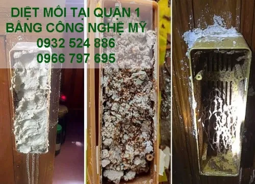 Sản phẩm diet moi tai quan 1 bang cong nghe my 1680581290 — Diệt Mối Hiệp Toàn Phát - Công Ty TNHH TM DV Đầu Tư Hiệp Toàn Phát — MST 0314690996