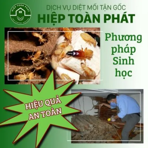 Sản phẩm diet moi sinh hoc 400x400 15301734461 — Diệt Mối Hiệp Toàn Phát - Công Ty TNHH TM DV Đầu Tư Hiệp Toàn Phát — MST 0314690996