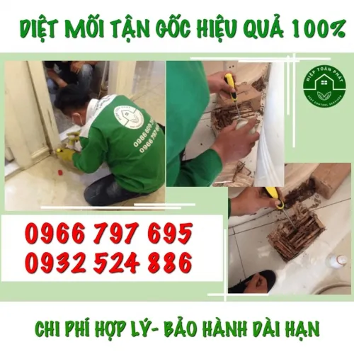 Sản phẩm z3830154804989_e04ac20ae1c8c6bba399260e59990a6c — Diệt Mối Hiệp Toàn Phát - Công Ty TNHH TM DV Đầu Tư Hiệp Toàn Phát — MST 0314690996