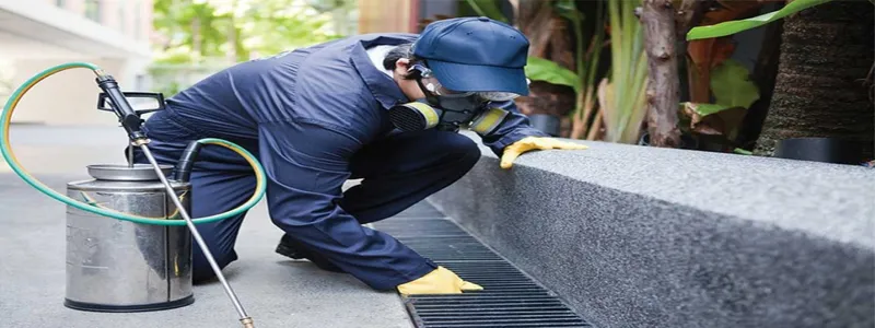 Sản phẩm d3xwx7lw4ae3mco 1664094625 — Diệt Mối Hiệp Toàn Phát - Công Ty TNHH TM DV Đầu Tư Hiệp Toàn Phát — MST 0314690996