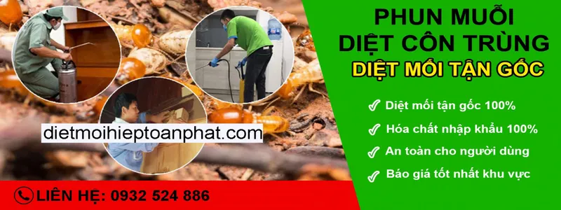 Sản phẩm diet moi tai tphcm 1765159220 — Diệt Mối Hiệp Toàn Phát - Công Ty TNHH TM DV Đầu Tư Hiệp Toàn Phát — MST 0314690996