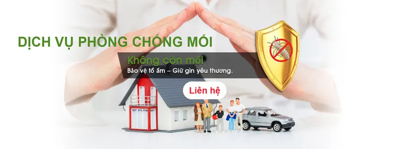 Sản phẩm phong chong moi 1554280957 — Diệt Mối Hiệp Toàn Phát - Công Ty TNHH TM DV Đầu Tư Hiệp Toàn Phát — MST 0314690996