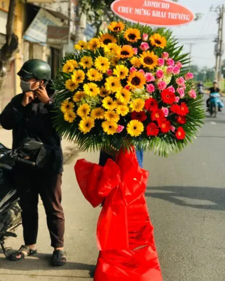 Sản phẩm hoa khai truong 12 450x563 — Shop Hoa Nguyệt Hỷ — MST 0314703645