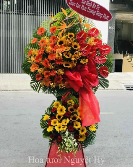 Sản phẩm hoa mung tan nien 988 450x563 — Shop Hoa Nguyệt Hỷ — MST 0314703645
