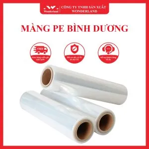 Sản phẩm MANG PE BINH DUONG 300x300 — Công Ty TNHH Sản Xuất Wonderland — MST 0314705307