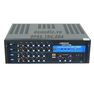 Sản phẩm intro — Công Ty TNHH Thương Mại Dịch Vụ DX Audio 89S — MST 0314711935
