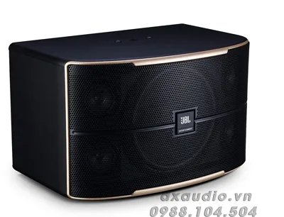 Sản phẩm intro pasion 12 — Công Ty TNHH Thương Mại Dịch Vụ DX Audio 89S — MST 0314711935