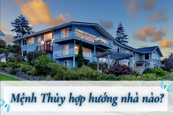 Sản phẩm menh thuy hop huong nha nao tot nhat cho nam 2023 — Công Ty TNHH Đầu Tư Xây Dựng Aloyeal — MST 0314715104