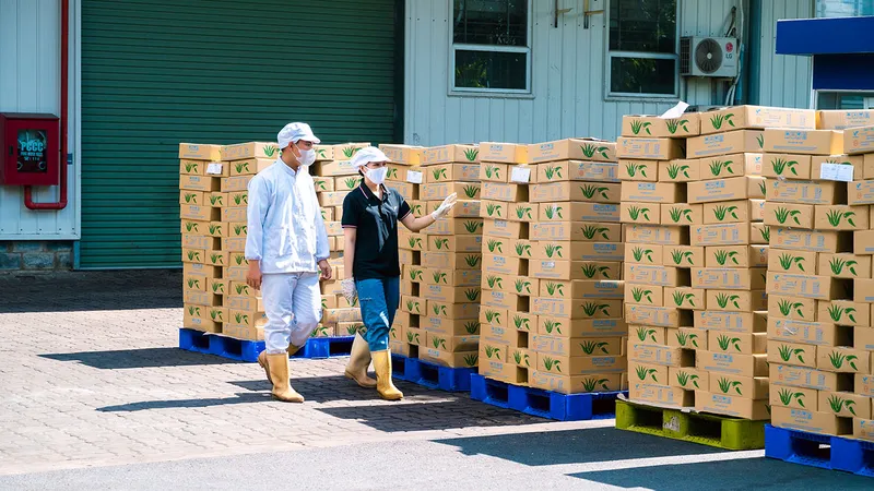 Sản phẩm 3 1 — Nước Giải Khát Thành Công Vina - Công Ty TNHH Sản Xuất Xuất Nhập Khẩu Thành Công
Vina — MST 0314725751