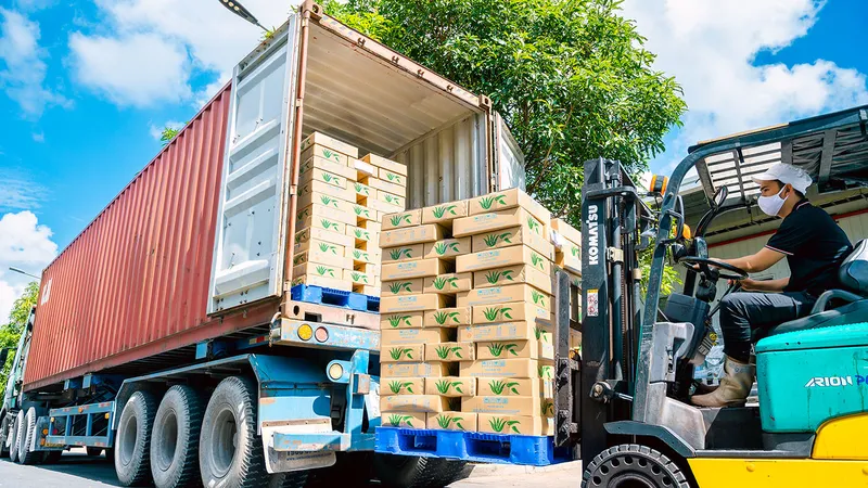 Sản phẩm 4 1 — Nước Giải Khát Thành Công Vina - Công Ty TNHH Sản Xuất Xuất Nhập Khẩu Thành Công
Vina — MST 0314725751