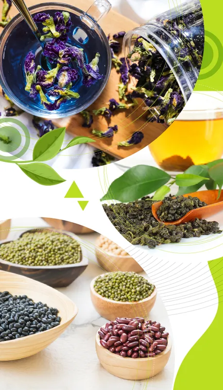 Sản phẩm Thuc pham nong san 02 — Nước Giải Khát Thành Công Vina - Công Ty TNHH Sản Xuất Xuất Nhập Khẩu Thành Công
Vina — MST 0314725751