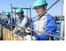 Sản phẩm cnxd8398_130x100 — Công Ty TNHH SX TM DV Hải Thắng — MST 0314748011
