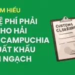 Sản phẩm website 52 150x150 — Công Ty TNHH Cavi Express — MST 0314750123