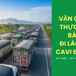 Sản phẩm website 64 150x150 — Công Ty TNHH Cavi Express — MST 0314750123
