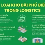 Sản phẩm website 68 150x150 — Công Ty TNHH Cavi Express — MST 0314750123