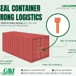 Sản phẩm template giải đáp 4 150x150 — Công Ty TNHH Cavi Express — MST 0314750123