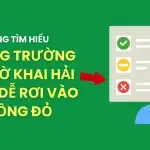 Sản phẩm website 86 150x150 — Công Ty TNHH Cavi Express — MST 0314750123