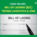 Sản phẩm template giải đáp 18 150x150 — Công Ty TNHH Cavi Express — MST 0314750123