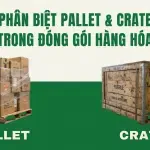 Sản phẩm website 92 150x150 — Công Ty TNHH Cavi Express — MST 0314750123