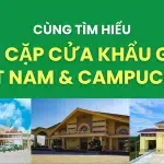 Sản phẩm website 98 150x150 — Công Ty TNHH Cavi Express — MST 0314750123
