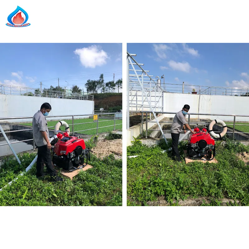 Văn phòng Công Ty TNHH PCCC Đại An Toàn #2 — MST 0314750275