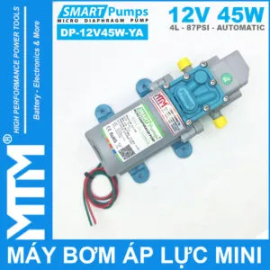 Sản phẩm ban may bom ap luc mini tu dong 12V 45W 4L Smartpumps DP 12V45W YA 300x300 — Công Ty TNHH Thương Mại Dịch Vụ Điện Máy Thông Minh — MST 0314770585