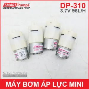 Sản phẩm bom ap luc mini DP 310 300x300 — Công Ty TNHH Thương Mại Dịch Vụ Điện Máy Thông Minh — MST 0314770585