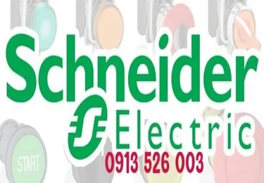 Sản phẩm 17 Schneider 2 — Thiết Bị Điện Quang Anh - Công Ty TNHH Kỹ Thuật Cơ Điện Quang Anh — MST 0314780791