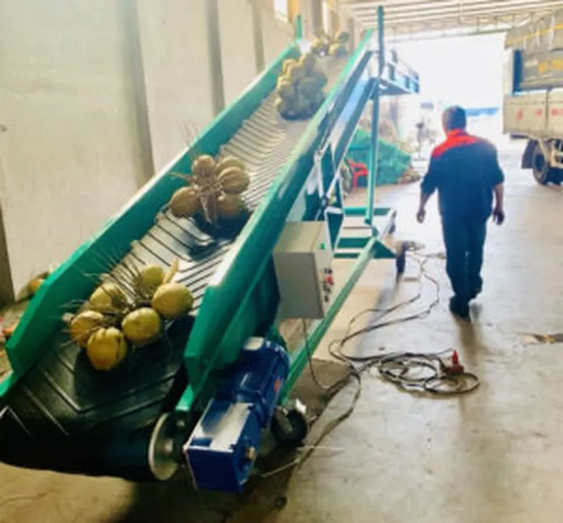 Sản phẩm bang tai cao su chuyen dua len xe 1 300x279.jpg — Công Ty TNHH Chuyển Động Toàn Cầu — MST 0314780985