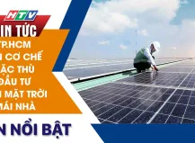 Sản phẩm gan 1800 tru so cong o tphcm se lap dien mat troi1692242182.jpg — Công Ty Cổ Phần Công Nghiệp Xanh Việt Nhật — MST 0314787028