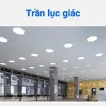 Sản phẩm 2bcacb3312d1e18fb8c0 150x150 — Công Ty Cổ Phần Đầu Tư Và Phát Triển Tập Đoàn Quốc Tế — MST 0314792123